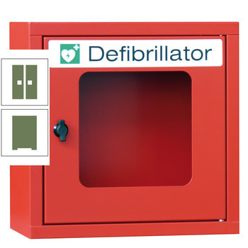 Defibrillatorenschrank - 400x400x220 mm (HxBxT) - Sichtfenster - resedagrün RAL 6011 Resedagrün | RAL 6011 Resedagrün