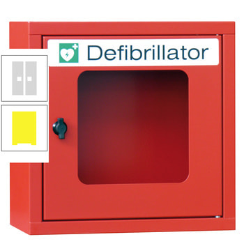 Defibrillatorenschrank - 400x400x220 mm (HxBxT) - Sichtfenster - zinkgelb/lichtgrau RAL 7035 Lichtgrau | RAL 1018 Zinkgelb