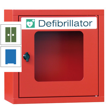 Defibrillatorenschrank - 400x400x220 mm (HxBxT) - Sichtfenster - himmelblau/resedagrün RAL 6011 Resedagrün | RAL 5015 Himmelblau