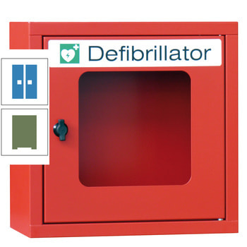 Defibrillatorenschrank - 400x400x220 mm (HxBxT) - Sichtfenster - resedagrün/lichtblau RAL 5012 Lichtblau | RAL 6011 Resedagrün