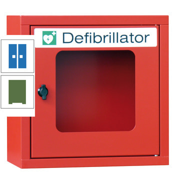 Defibrillatorenschrank - 400x400x220 mm (HxBxT) - Sichtfenster - resedagrün/himmelblau RAL 5015 Himmelblau | RAL 6011 Resedagrün