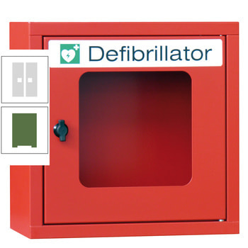 Defibrillatorenschrank - 400x400x220 mm (HxBxT) - Sichtfenster - resedagrün/lichtgrau RAL 7035 Lichtgrau | RAL 6011 Resedagrün