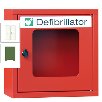Defibrillatorenschrank - 400x400x220 mm (HxBxT) - Sichtfenster - resedagrün/reinweiß RAL 9010 Reinweiß | RAL 6011 Resedagrün