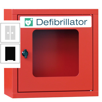Defibrillatorenschrank - 400x400x220 mm (HxBxT) - Sichtfenster - tiefschwarz/lichtgrau RAL 7035 Lichtgrau | RAL 9005 Tiefschwarz