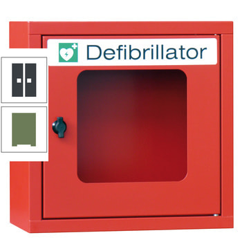 Defibrillatorenschrank mit akustischem Alarm - 400x400x220 mm (HxBxT) - Sichtfenster - resedagrün/anthrazitgrau RAL 7016 Anthrazitgrau | RAL 6011 Resedagrün