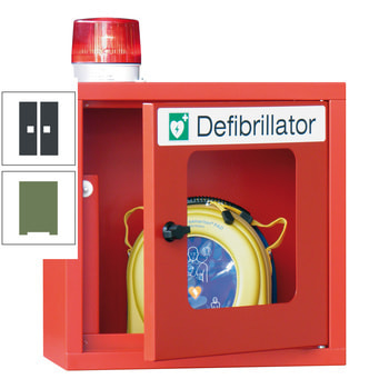 Defibrillatorenschrank mit akustischem und optischem Alarm - 490x400x220 mm (HxBxT) - Sichtfenster - resedagrün/anthrazitgrau RAL 7016 Anthrazitgrau | RAL 6011 Resedagrün