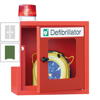 Defibrillatorenschrank mit akustischem und optischem Alarm - 490x400x220 mm (HxBxT) - Sichtfenster - resedagrün/lichtgrau RAL 7035 Lichtgrau | RAL 6011 Resedagrün
