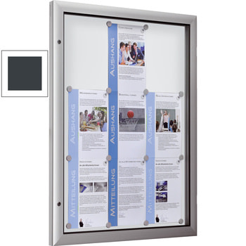 Beispielabbildung zeigt extra flachen Schaukasten im Hochformat mit weißer Rückwand Beispielabbildung zeigt extra flachen Schaukasten im Hochformat mit weißer Rückwand
