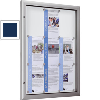 Beispielabbildung zeigt Schaukasten im Hochformat mit weißer Rückwand Beispielabbildung zeigt Schaukasten im Hochformat mit weißer Rückwand