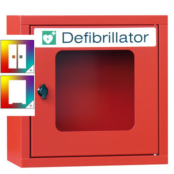 Defibrillatorenschrank - 400x400x220 mm (HxBxT) - Sichtfenster - Farbe wählbar 